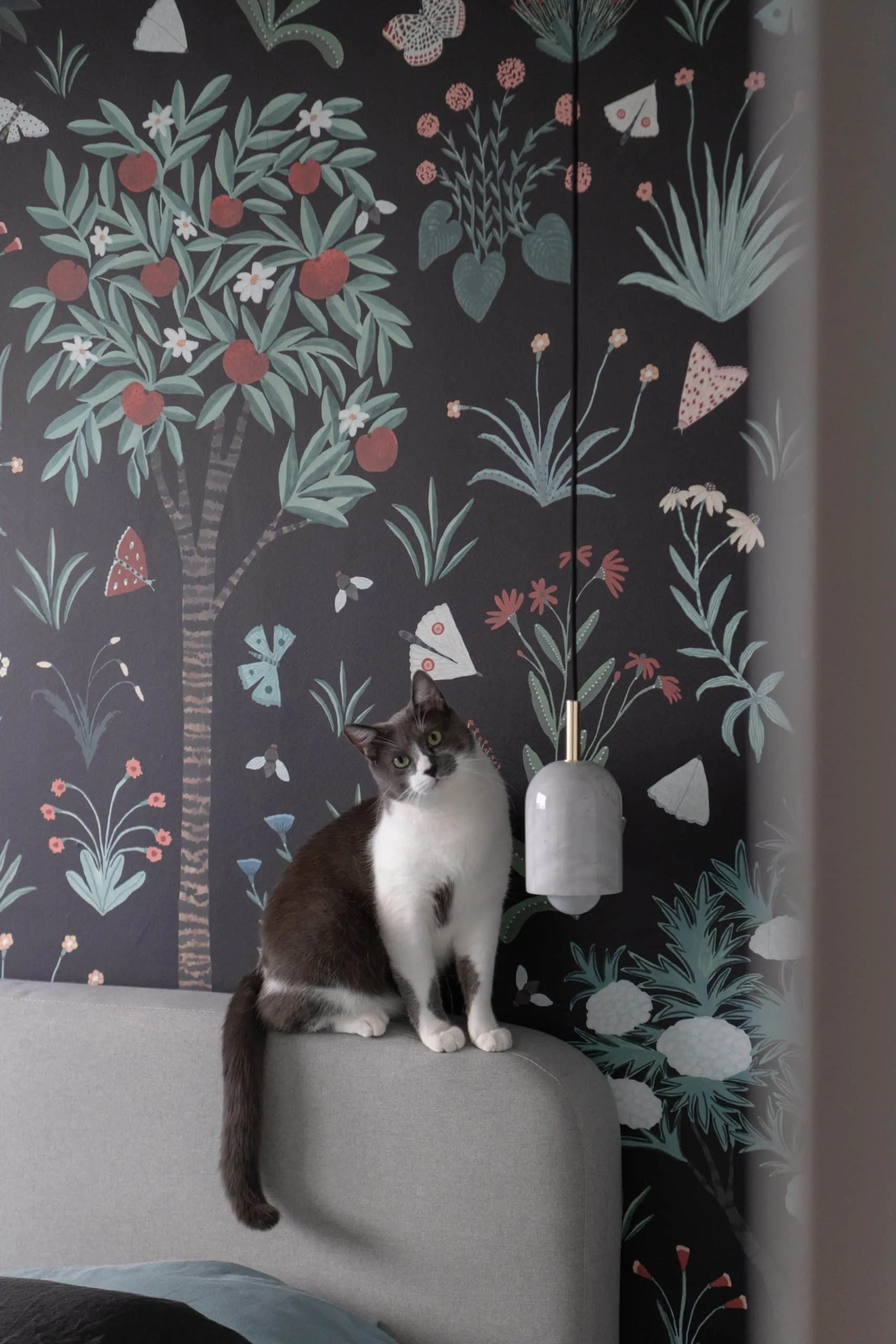 Chat assis sur la tête de lit devant le papier peint à motifs d’arbres et de fleurs, suspension blanche