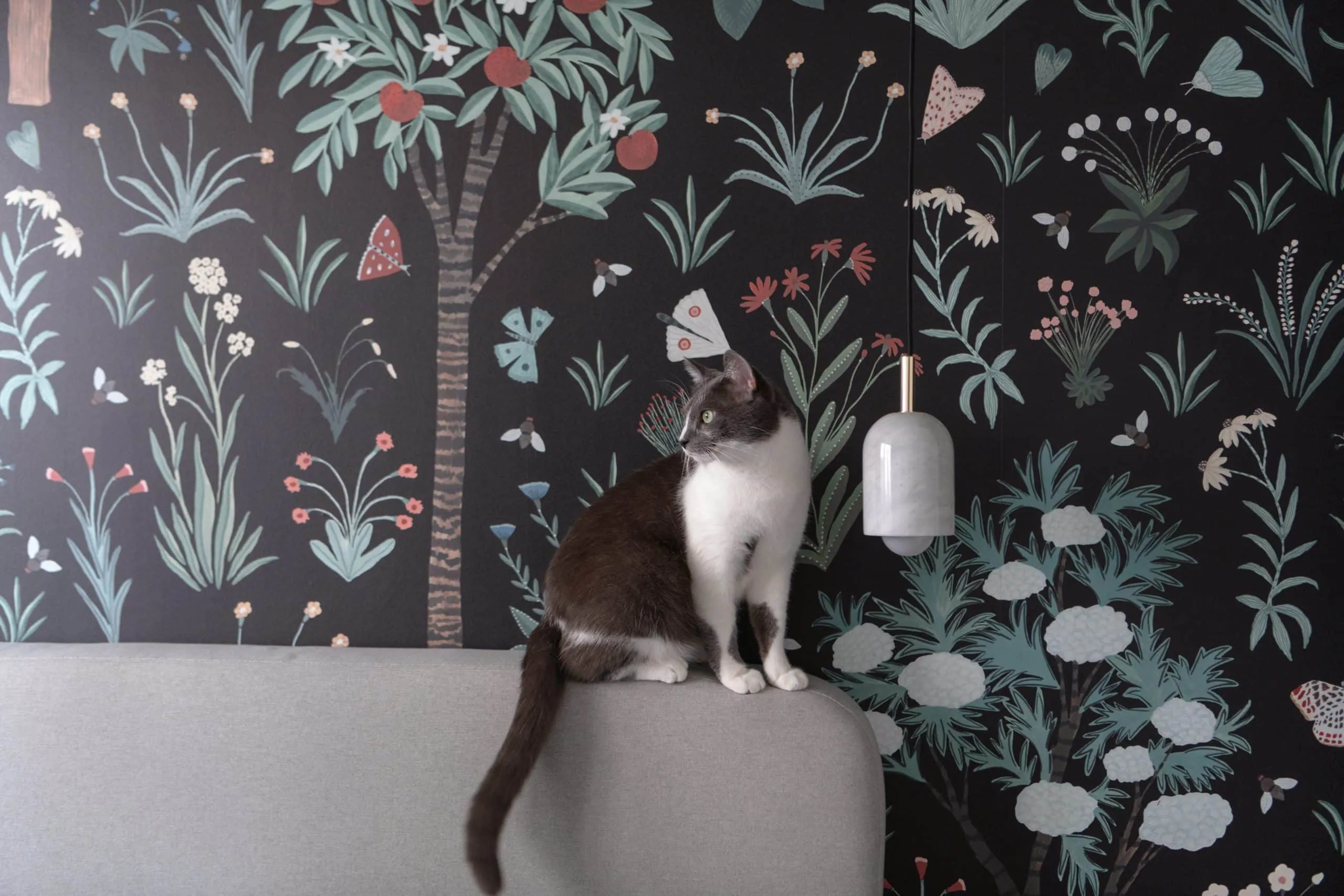 Chambre personnalisée par un papier peint botanique sur fond noir, chat posé sur la tête de lit arrondie
