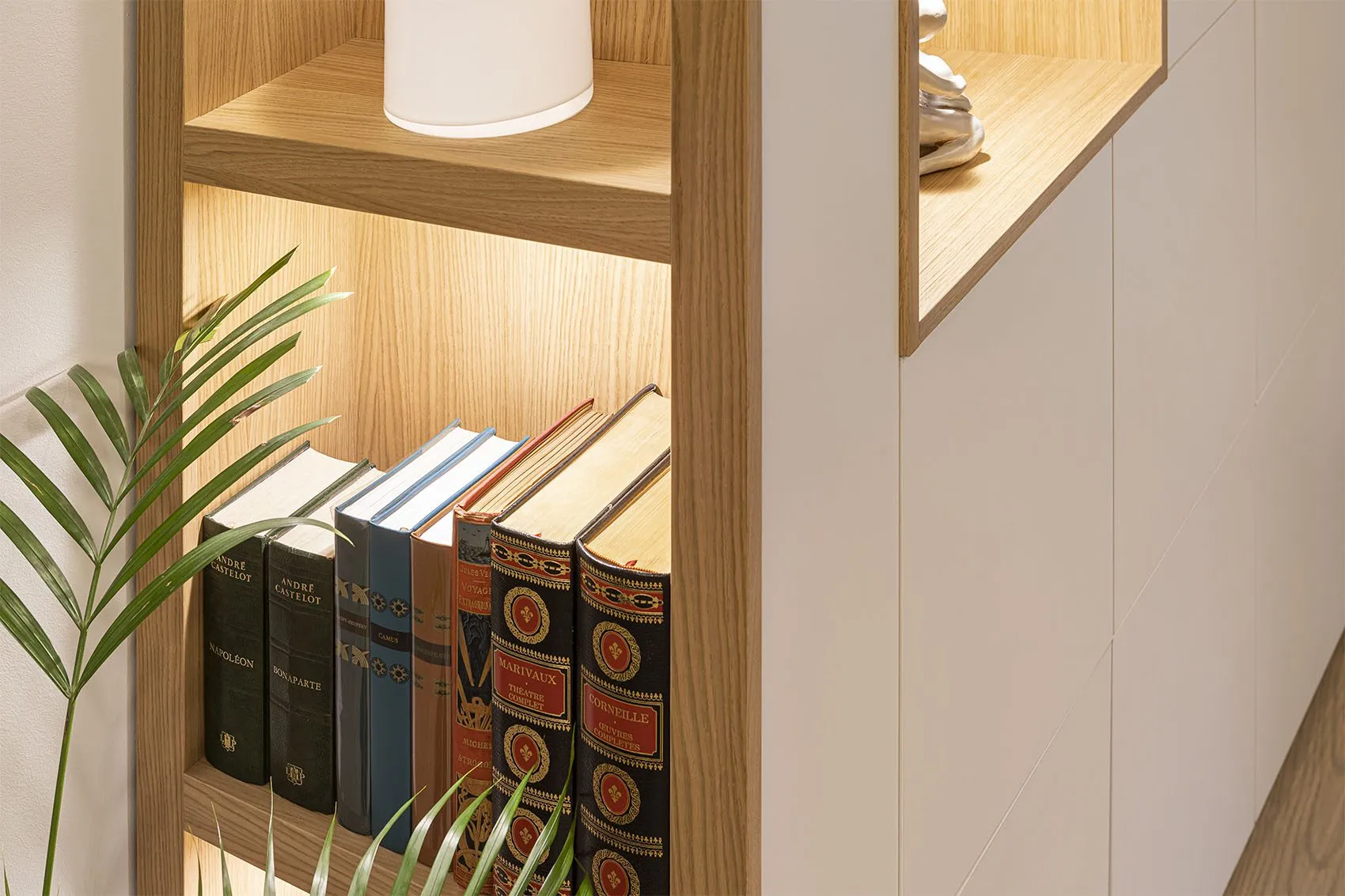 Livres anciens reliés rangés dans une niche éclairée de la bibliothèque, plante verte au premier plan